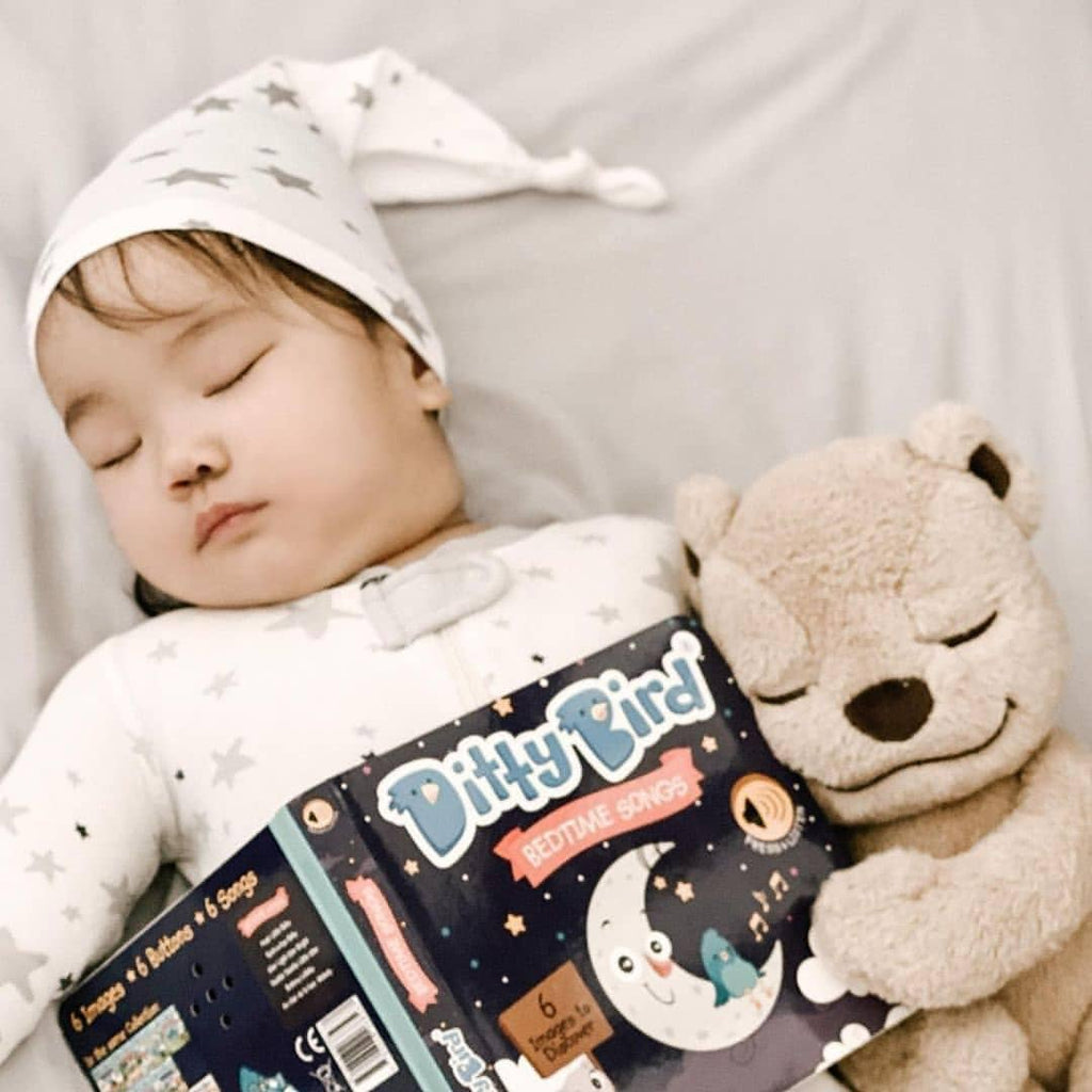 Ditty Bird | Bedtime Songs - Storytime - Baby Book - USB-C