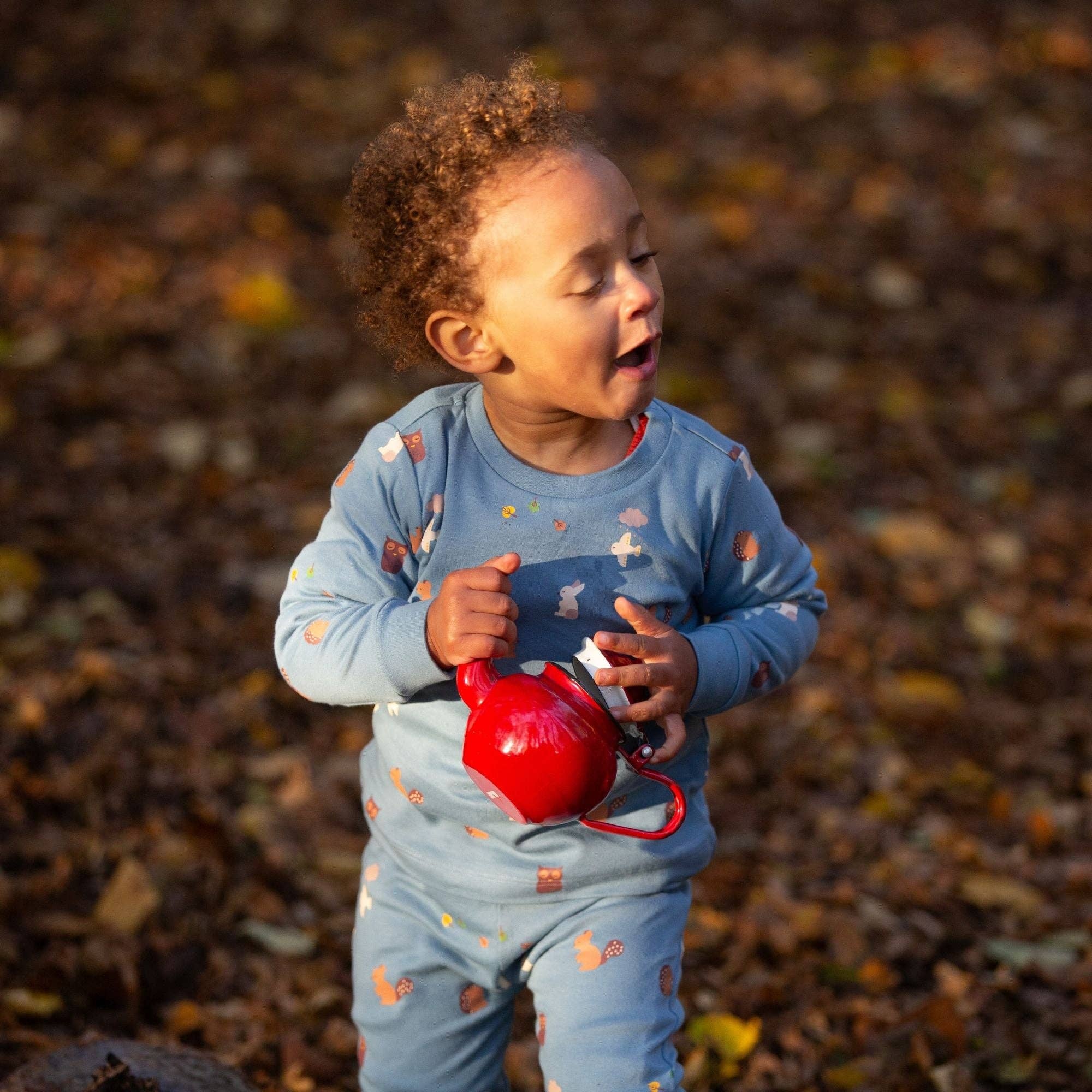 Woodland Folk Organic Pyjamas NOT AVAILABLE for USA/AUS/CAN
