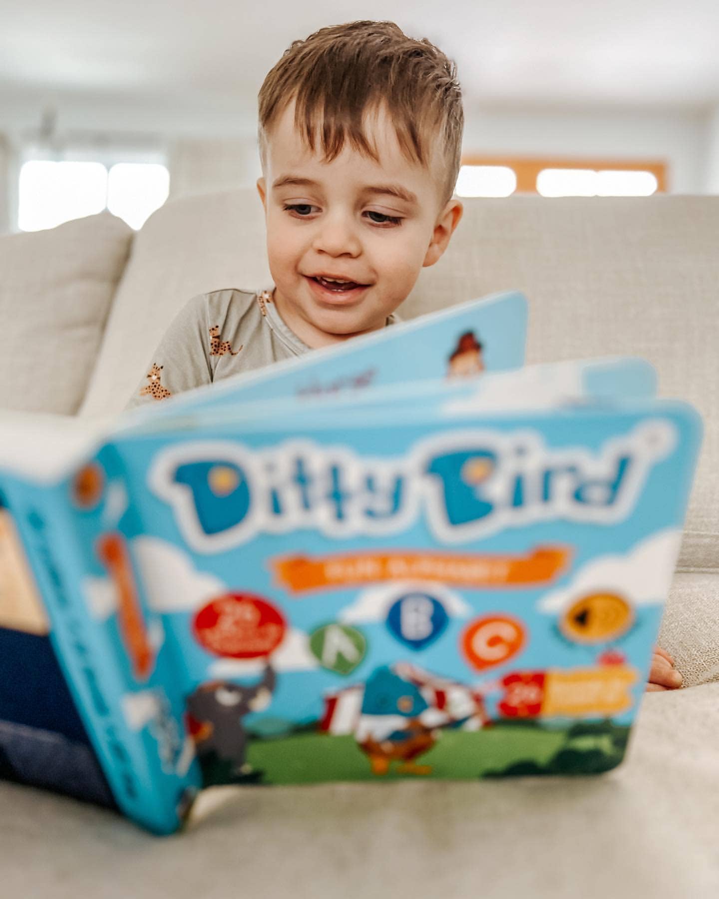 Fun Alphabet | ABC Song | Ditty Bird Baby Sound Book USB-C