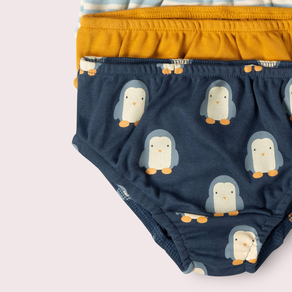 Blue Penguins Organic Underwear 3 Pack