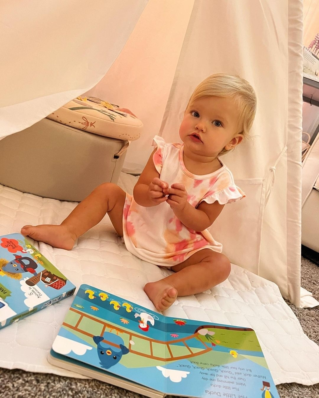 Ditty Bird Farm Animal | Baby Sound Book Farm USB-C