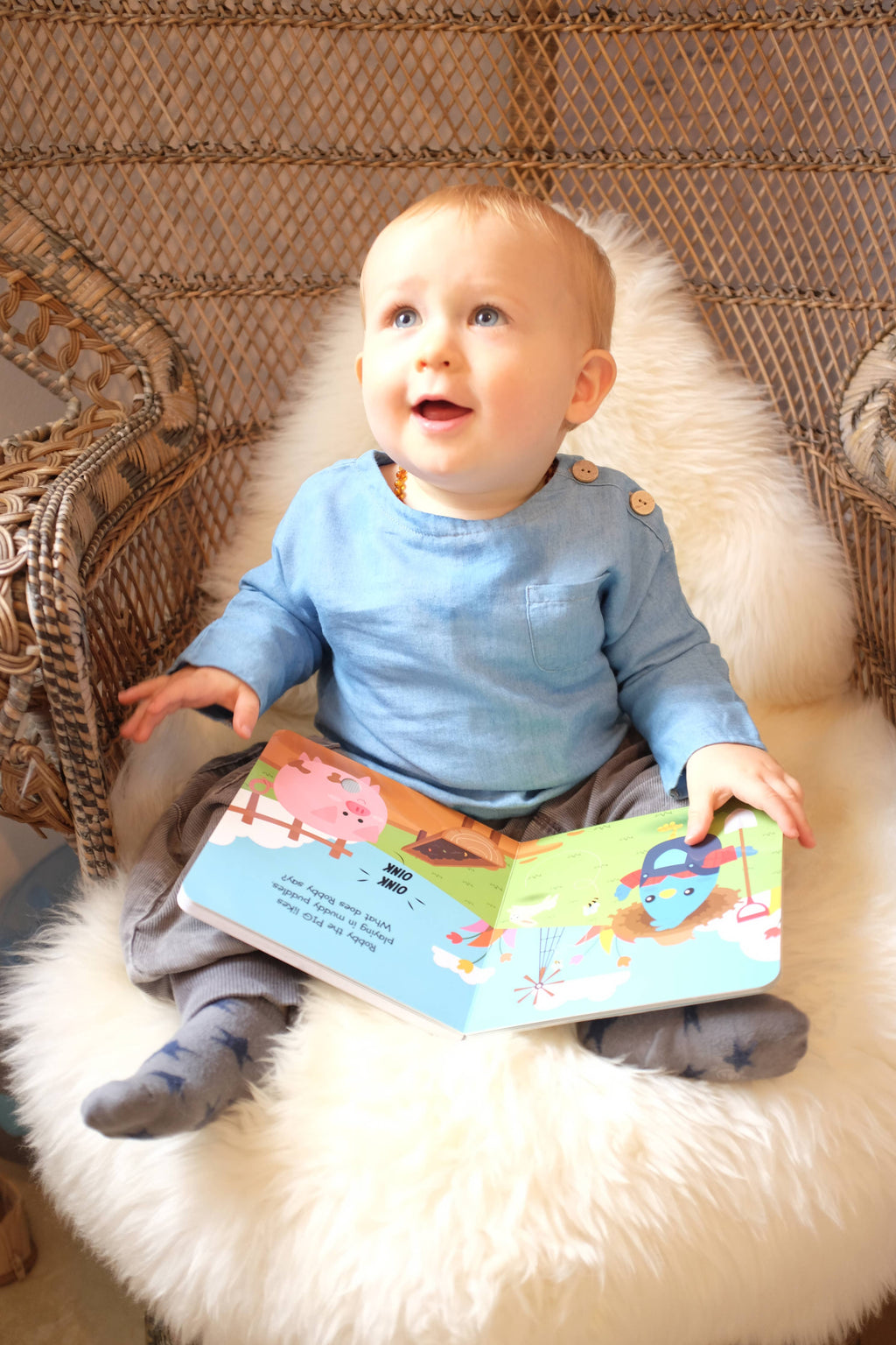 Ditty Bird Farm Animal | Baby Sound Book Farm USB-C
