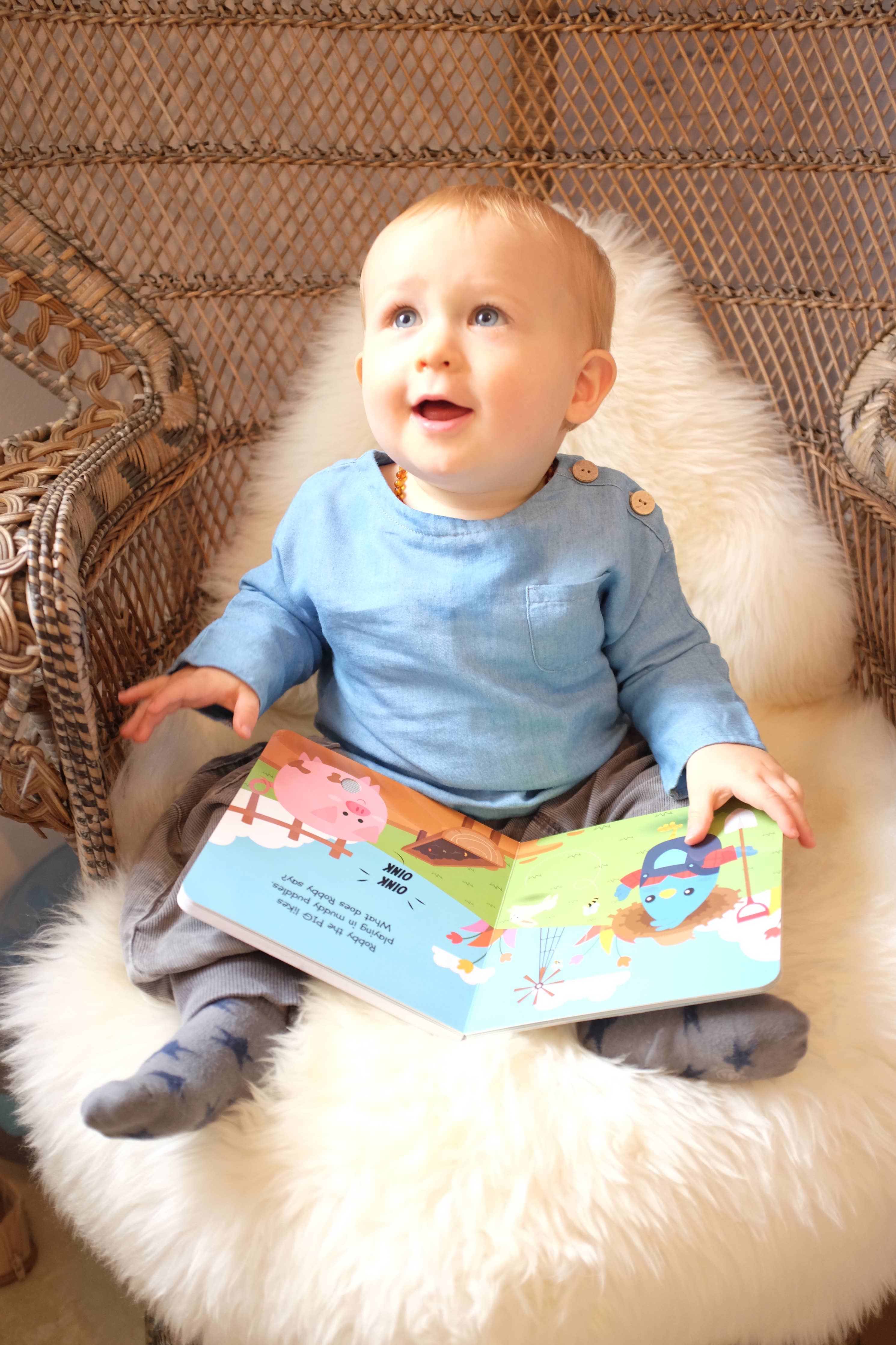 Ditty Bird Farm Animal | Baby Sound Book Farm USB-C