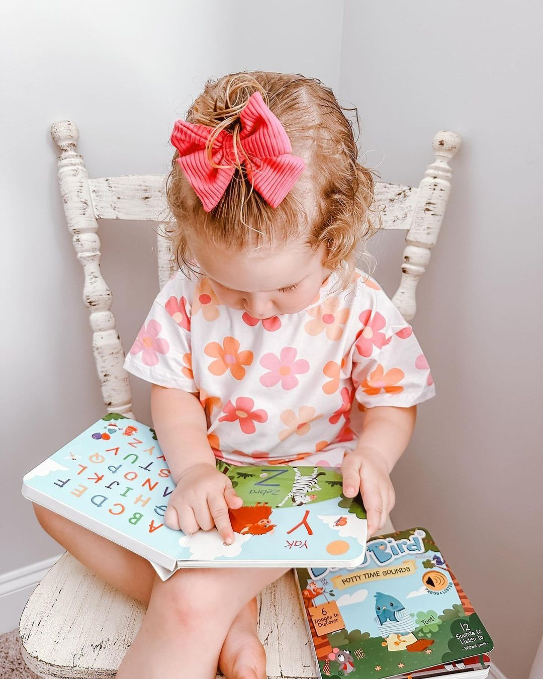 Fun Alphabet | ABC Song | Ditty Bird Baby Sound Book USB-C