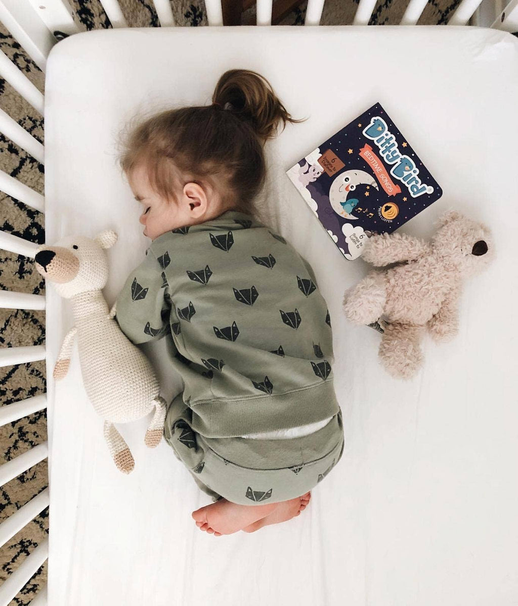 Ditty Bird | Bedtime Songs - Storytime - Baby Book - USB-C