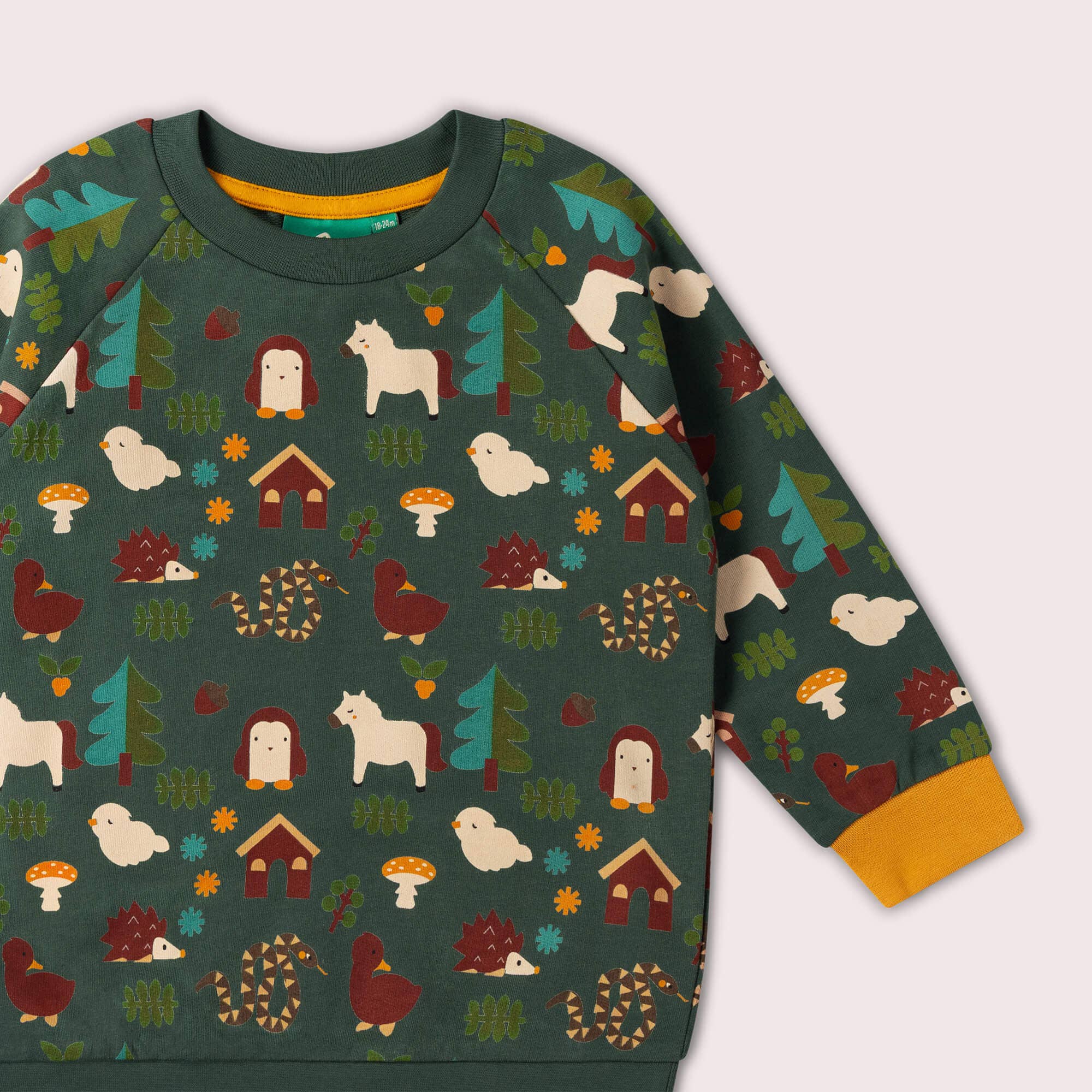 Woodland World Raglan Sweatshirt