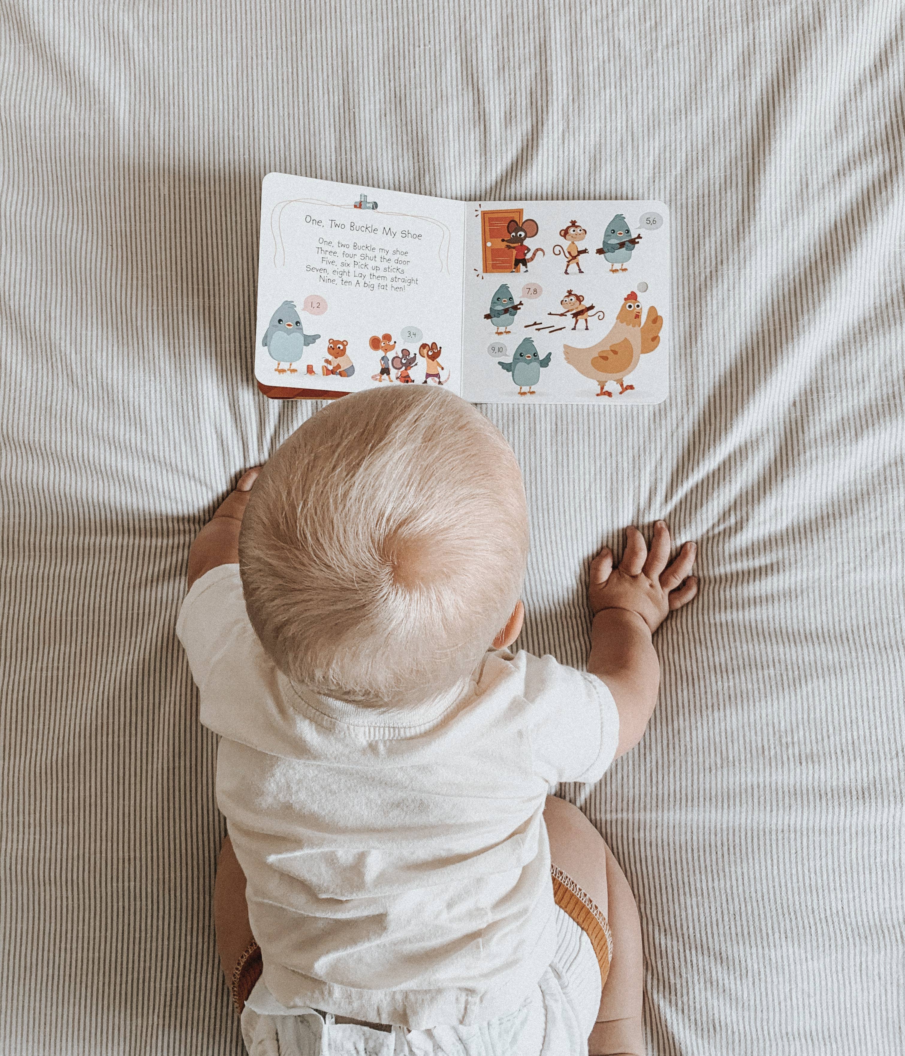 Ditty Bird Baby Sound Book: ABC Learning BESTSELLER USB-C