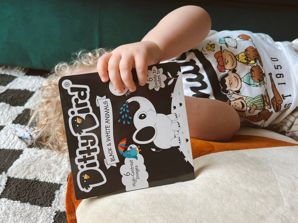 Ditty Bird: Black and White Sound book - New born - USB-C