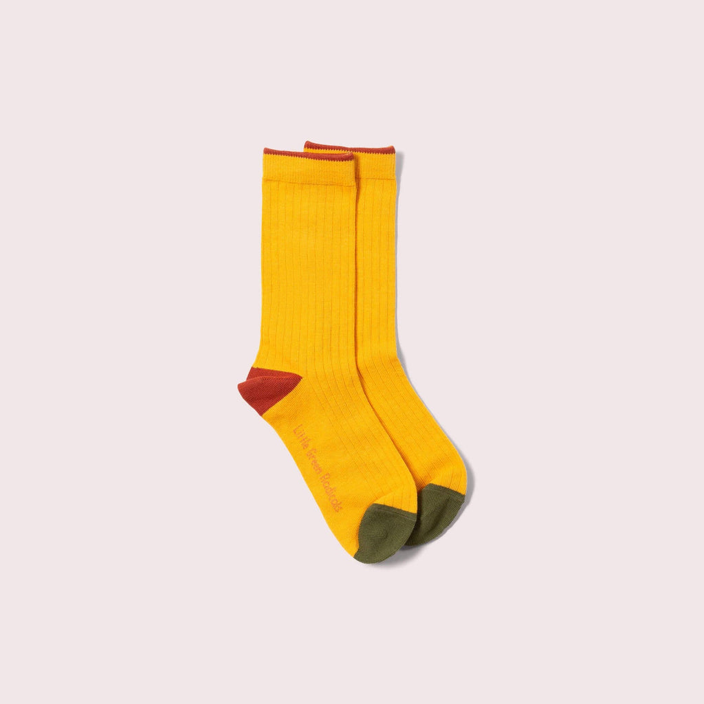 Teddy Bear Ankle Socks 5 Pack