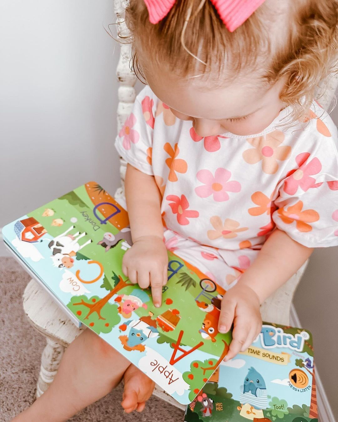 Fun Alphabet | ABC Song | Ditty Bird Baby Sound Book USB-C