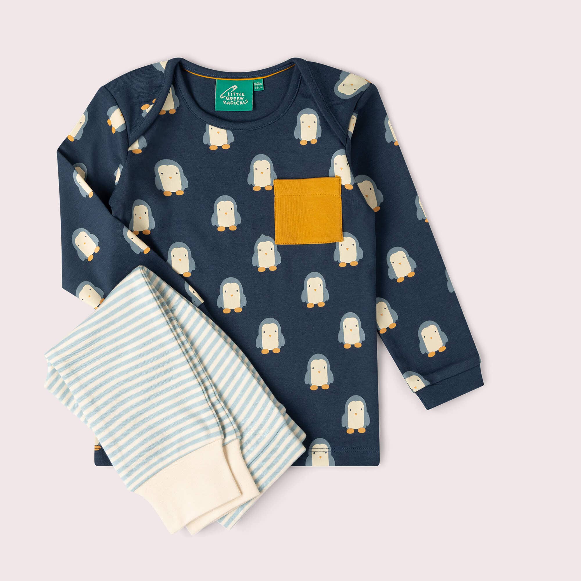 Blue Penguins Organic T-Shirt & Jogger Playset