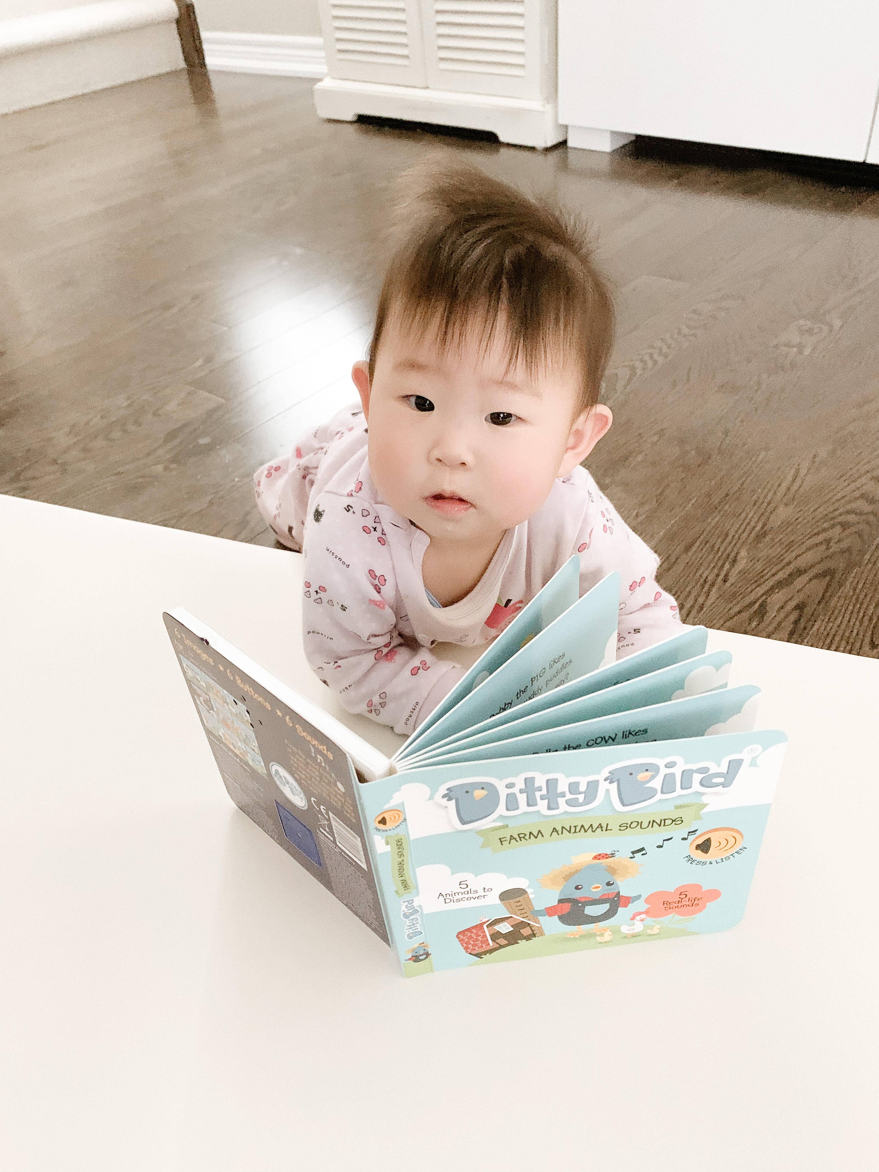 Ditty Bird Farm Animal | Baby Sound Book Farm USB-C