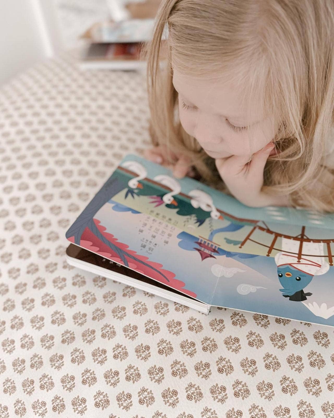 Bilingual Book | Chinese Poems Ditty Bird - USB-C