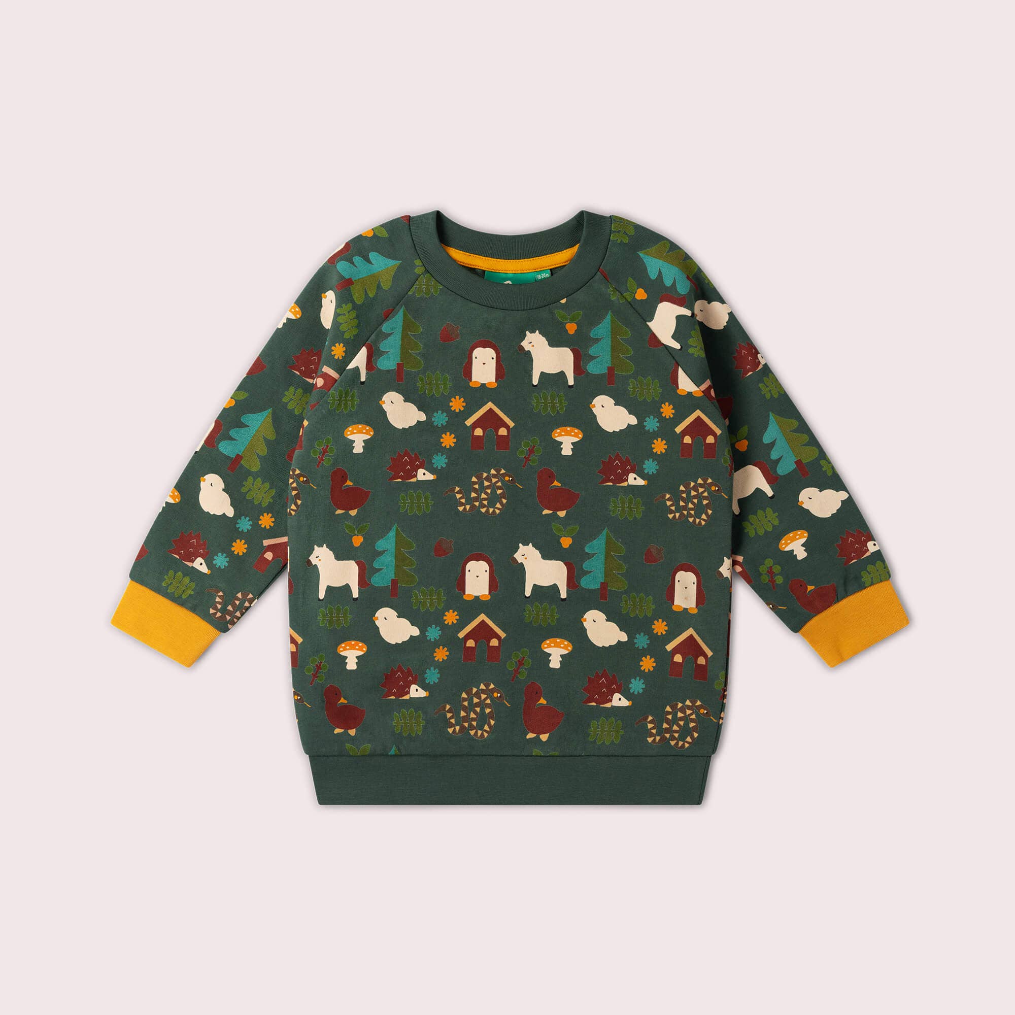 Woodland World Raglan Sweatshirt