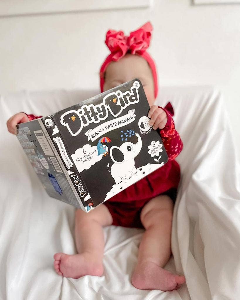 Ditty Bird: Black and White Sound book - New born - USB-C