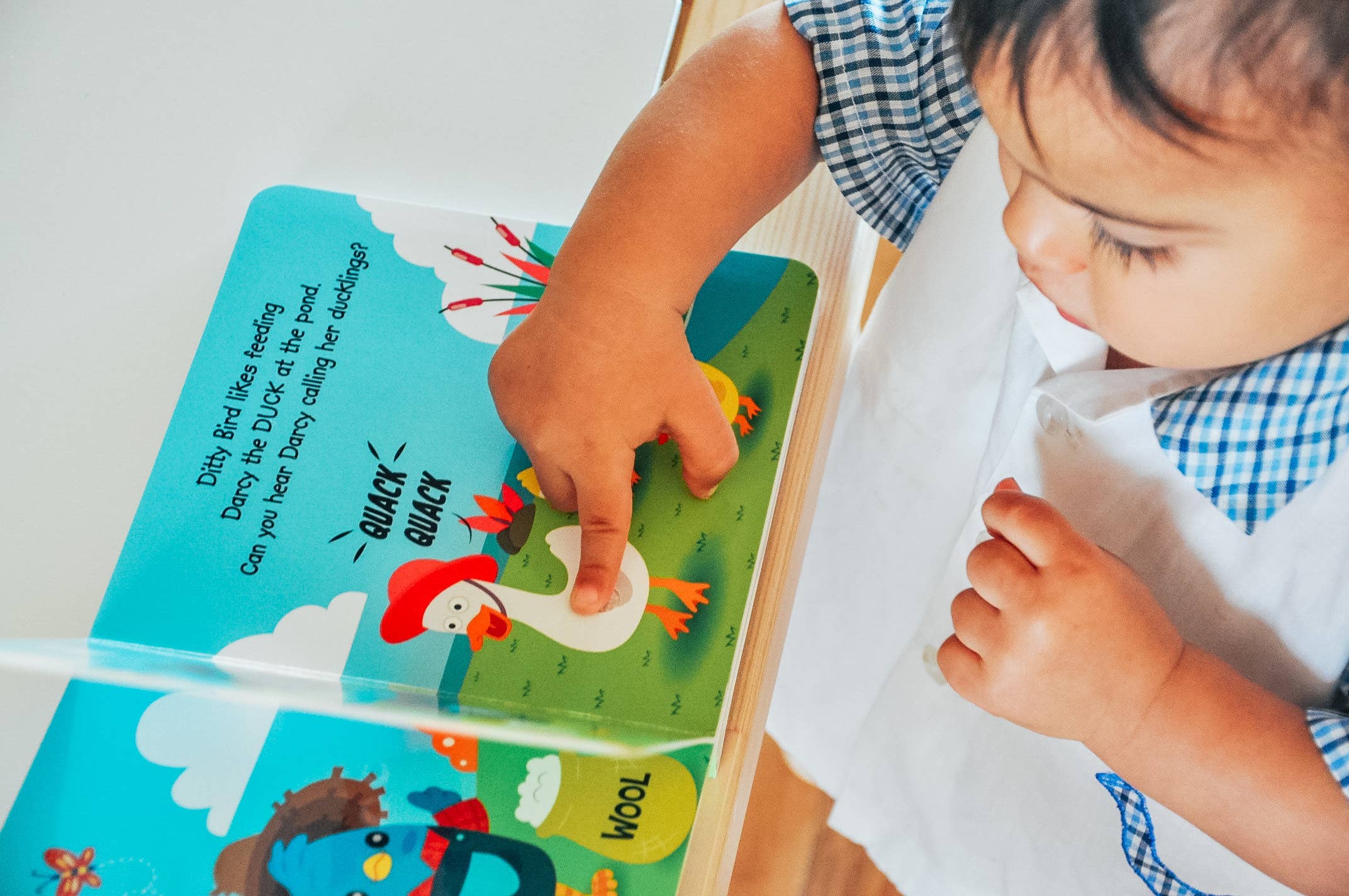 Ditty Bird Farm Animal | Baby Sound Book Farm USB-C