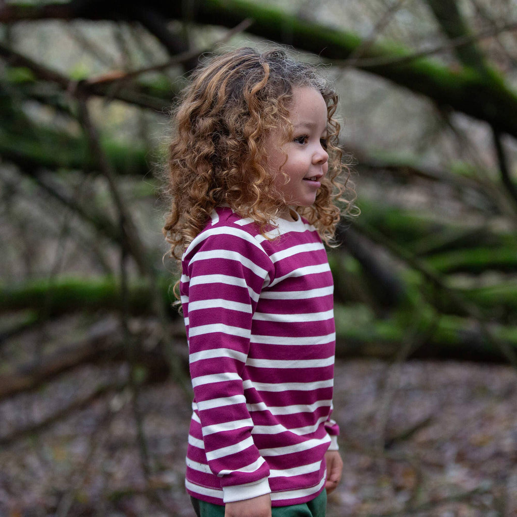 Berry Striped Long Sleeve T-Shirt