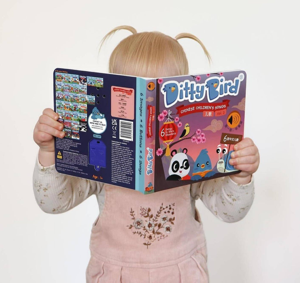 Ditty Bird Book for Learning Chinese Kid's Songs 2 儿歌 USB-C