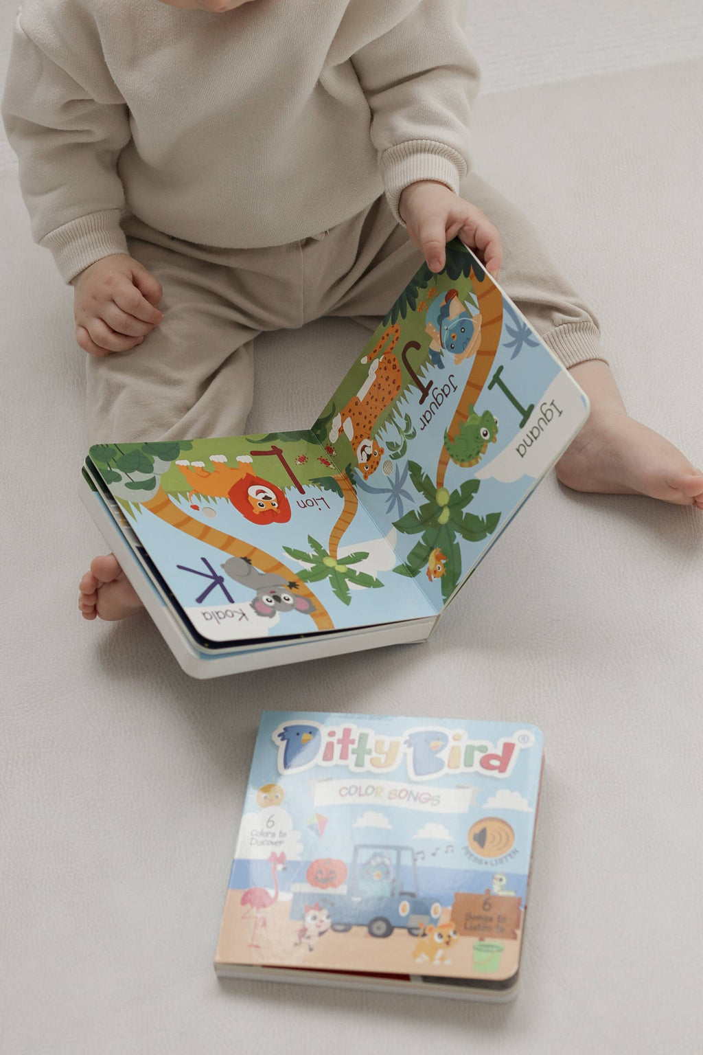 Fun Alphabet | ABC Song | Ditty Bird Baby Sound Book USB-C