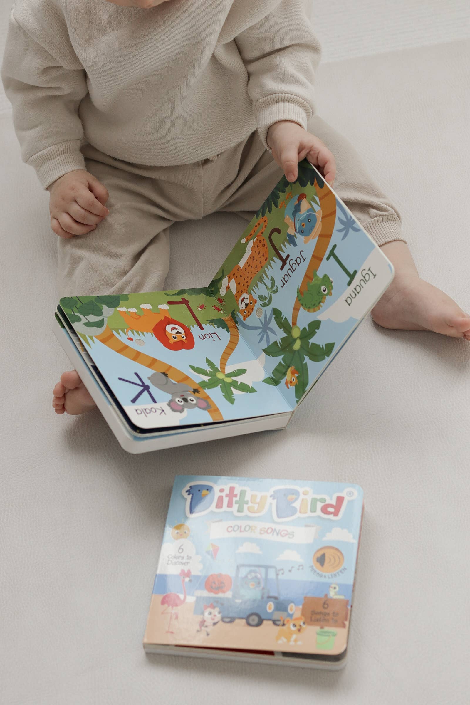 Fun Alphabet | ABC Song | Ditty Bird Baby Sound Book USB-C