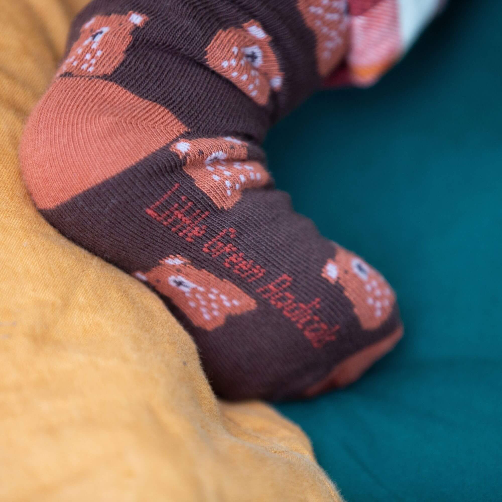 Teddy Bear Ankle Socks 5 Pack