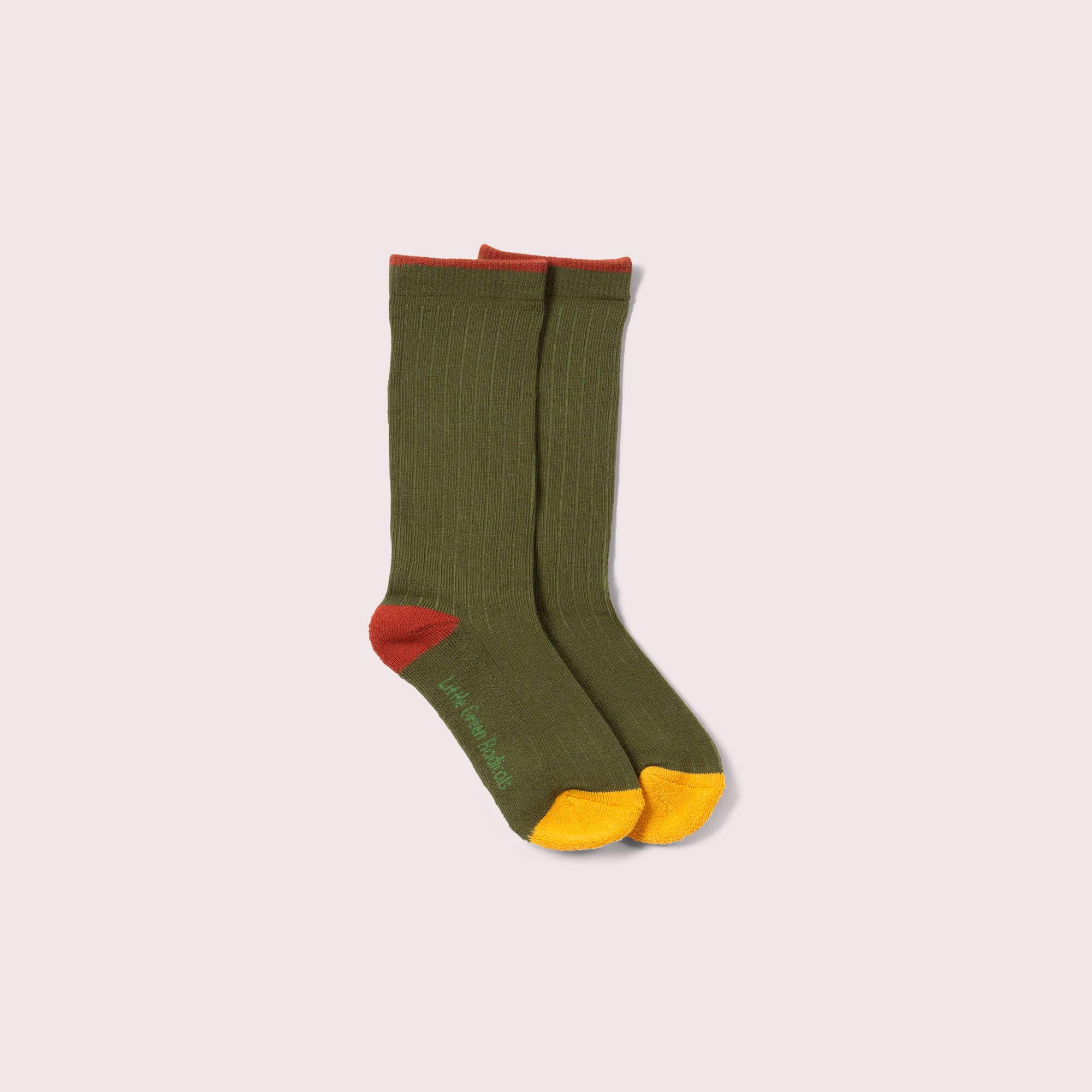 Teddy Bear Ankle Socks 5 Pack