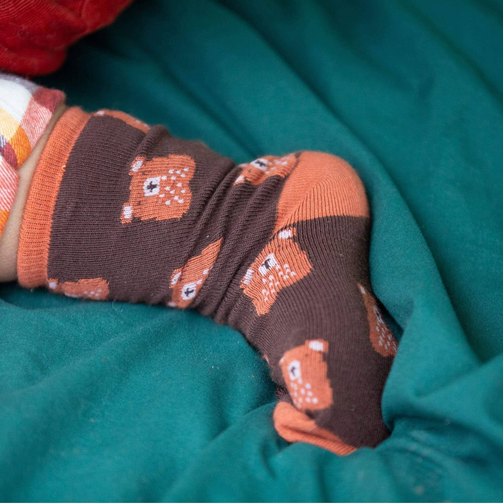 Teddy Bear Ankle Socks 5 Pack